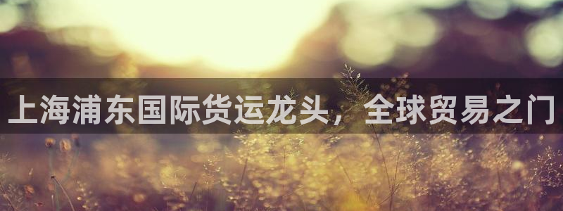 尊龙凯时人生就是博官网登录：上海浦东国际货运龙头，全球贸