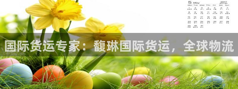 尊龙d88用现推选ag发财网：国际货运专家：馥琳国际货运