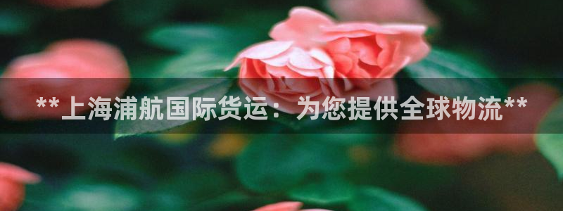 尊龙个人资料简介：**上海浦航国际货运：为您提供全球物流