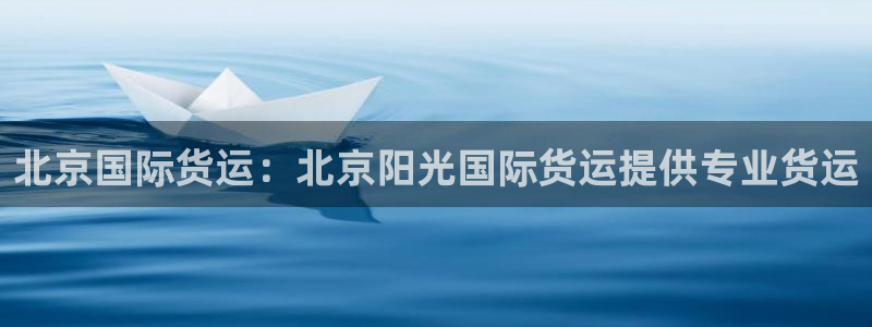 尊龙体育怎么样：北京国际货运：北京阳光国际货运提供专业货
