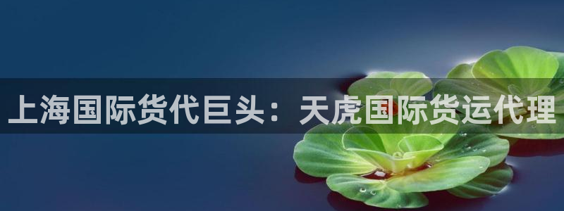 尊龙d88平台版下载：上海国际货代巨头：天虎国际货运代理