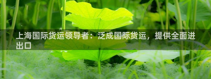 尊龙凯时法充十万返现多少：上海国际货运领导者：泛成国际货