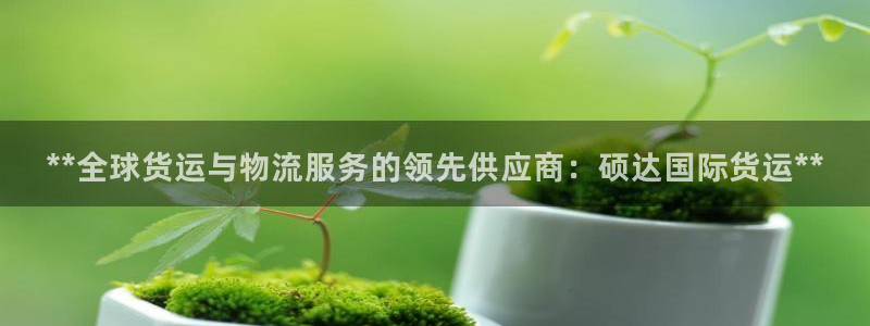 尊龙负面新闻：**全球货运与物流服务的领先供应商：硕达国