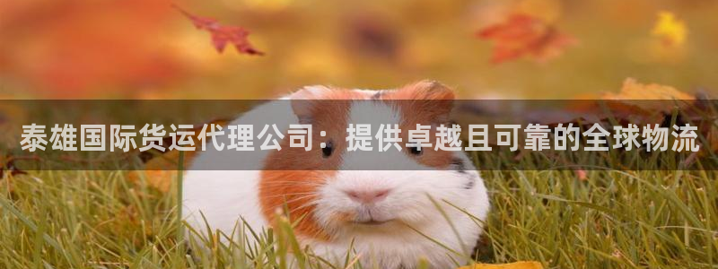 尊龙人生就是博旧版现：泰雄国际货运代理公司：提供卓越且可