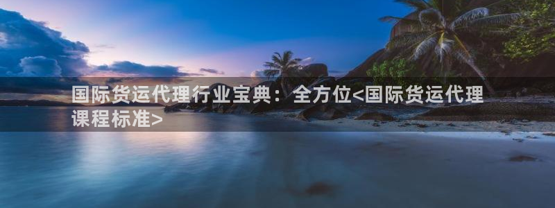 尊龙ag旗舰厅下载：国际货运代理行业宝典：全方位<国际货