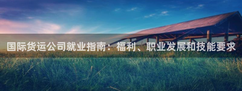 尊龙人生就是博下载：国际货运公司就业指南：福利、职业发展