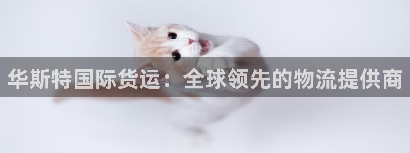 尊龙凯时和九游会哪个平台好一点：华斯特国际货运：全球领先