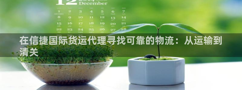 尊龙凯时：在信捷国际货运代理寻找可靠的物流：从运输到
清
