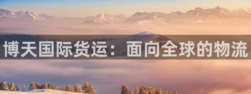 尊龙人生就是博现金：博天国际货运：面向全球的物流