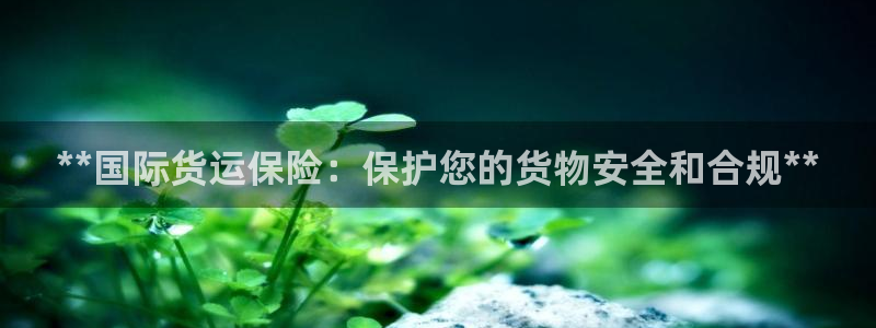 尊龙/人生就是博：**国际货运保险：保护您的货物安全和合