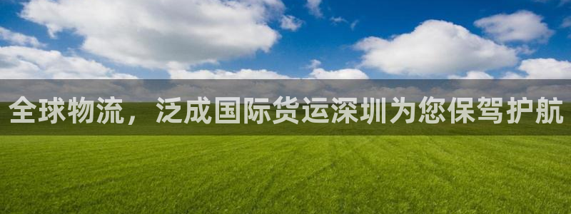 尊龙棋牌老板是谁：全球物流，泛成国际货运深圳为您保驾护航