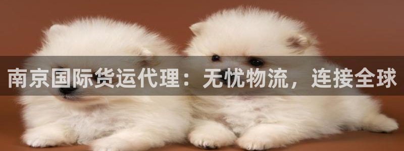 尊龙体育直接访问agbaofu.wang|ag暴富网：南
