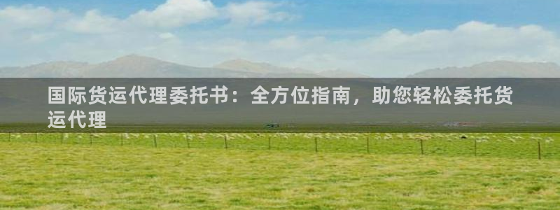 尊龙新版手机app下载：国际货运代理委托书：全方位指南，