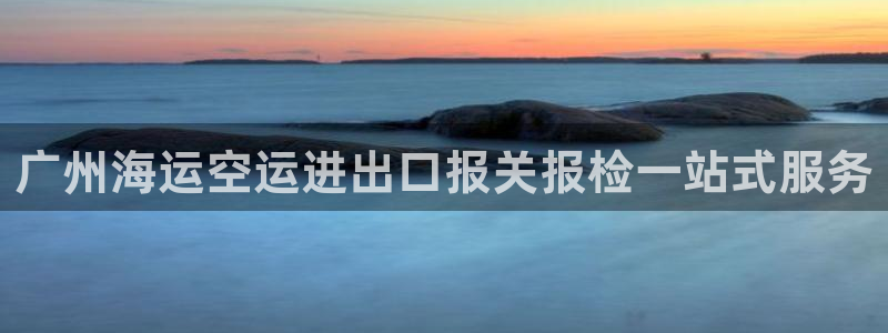 尊龙ag旗舰厅登录 租车app下载：广州海运空运进出口报