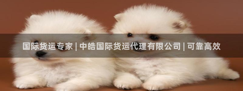 尊龙app登录不了：国际货运专家 | 中皓国际货运代理有