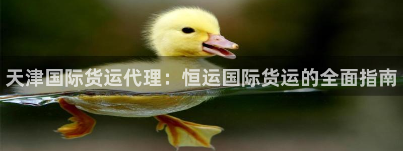 尊龙凯时白家乐：天津国际货运代理：恒运国际货运的全面指南