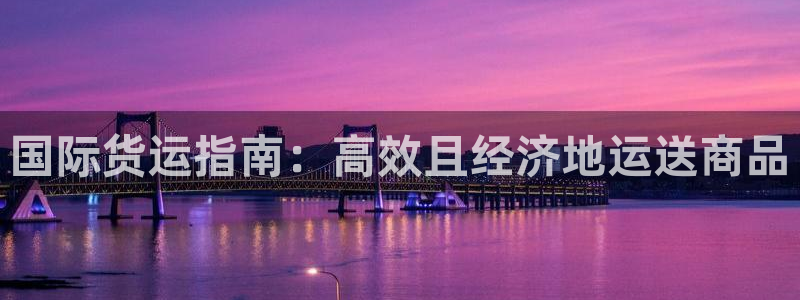 尊龙凯时注册地址：国际货运指南：高效且经济地运送商品