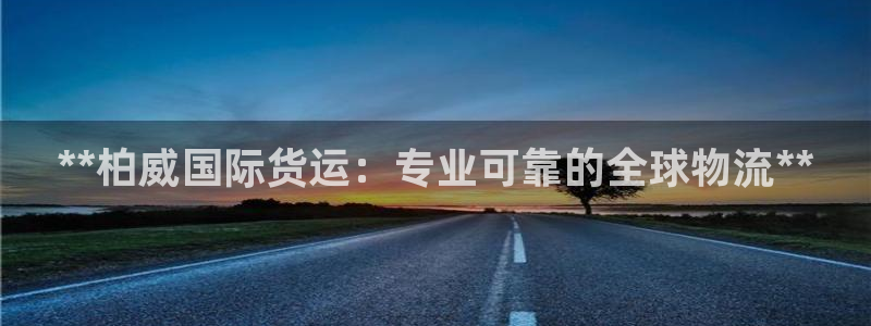 尊龙凯时是哪个国家的：**柏威国际货运：专业可靠的全球物