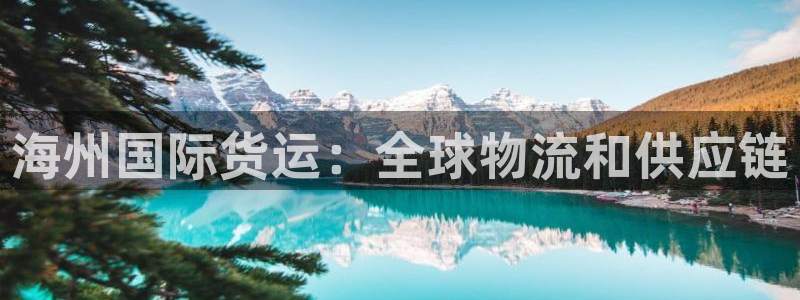 尊龙实业有限公司属于国企吗：海州国际货运：全球物流和供应