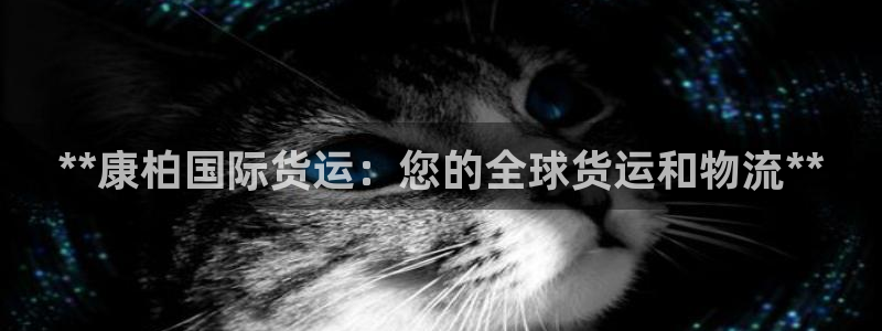 尊龙官网免费下载：**康柏国际货运：您的全球货运和物流*