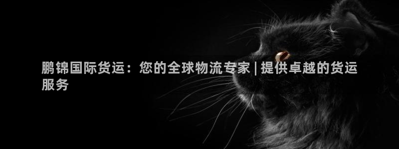 尊龙ag旗舰厅官网官方入口：鹏锦国际货运：您的全球物流专