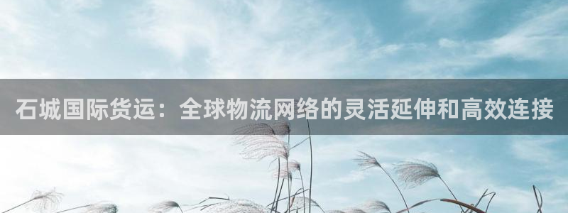 尊龙凯时网