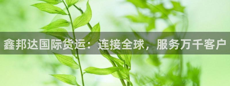 z6com尊龙凯时代理