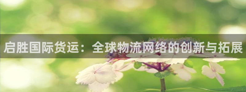 尊龙网平台