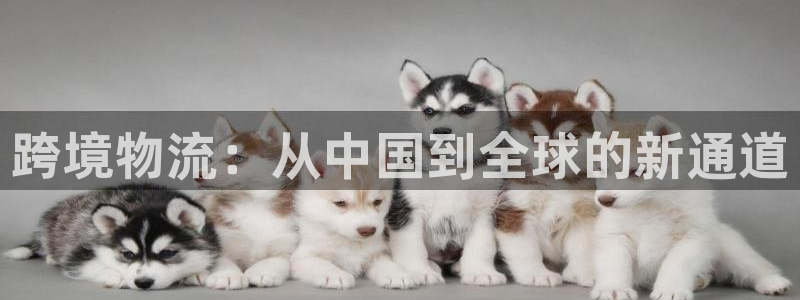 尊龙人品怎么样