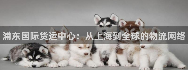 尊龙集团有限公司官网