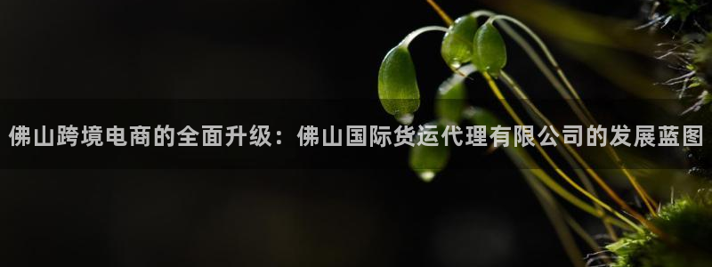 尊龙专访视频