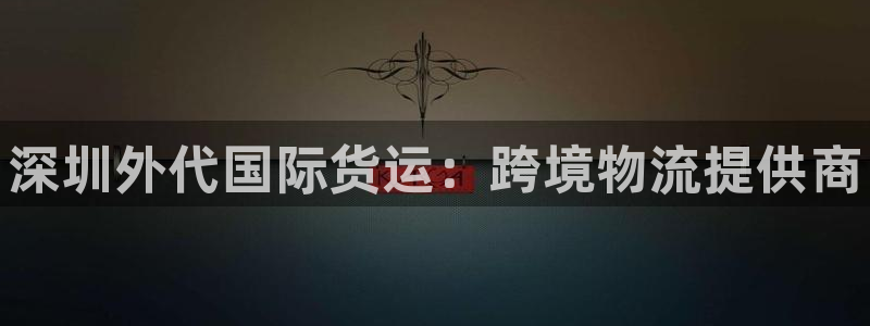 尊龙凯时vip：深圳外代国际货运：跨境物流提供商