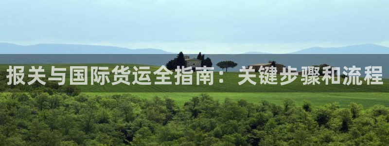 尊龙这个平台怎么样：报关与国际货运全指南：关键步骤和流程