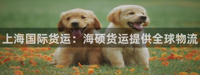 尊龙,人生就是博!登录国际：上海国际货运：海硕货运提供全