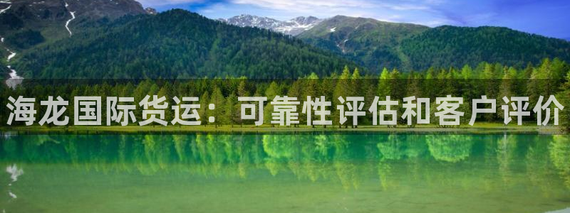 尊龙实业有限公司：海龙国际货运：可靠性评估和客户评价
