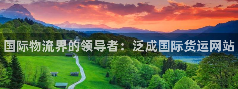 尊龙人生就是博登录网址下载：国际物流界的领导者：泛成国际