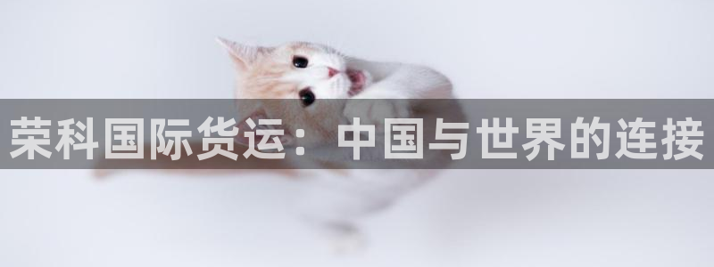 尊龙凯时充值不到账