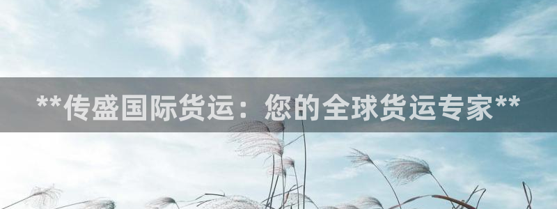 尊龙一人生就是搏：**传盛国际货运：您的全球货运专家**