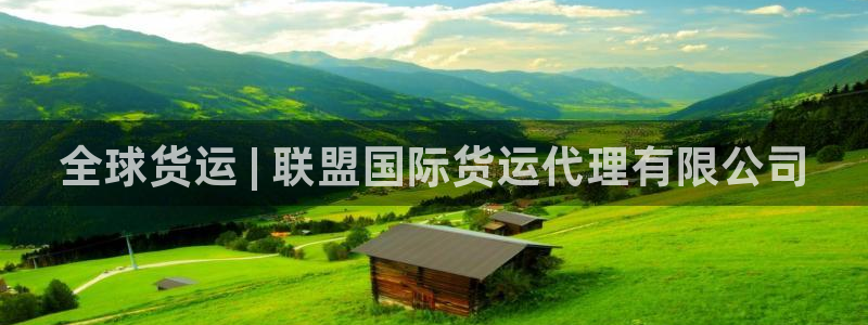 尊龙这个平台怎么样：全球货运 | 联盟国际货运代理有限公