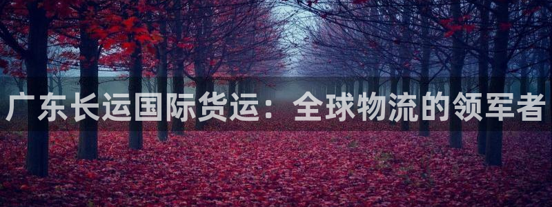 尊龙电子：广东长运国际货运：全球物流的领军者