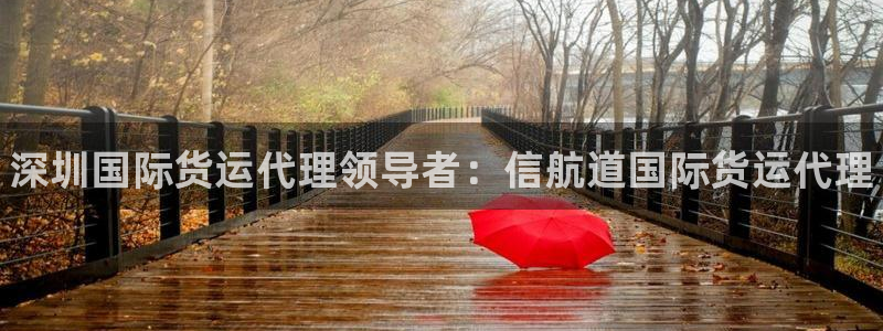 尊龙一人生就是博电子游戏：深圳国际货运代理领导者：信航道