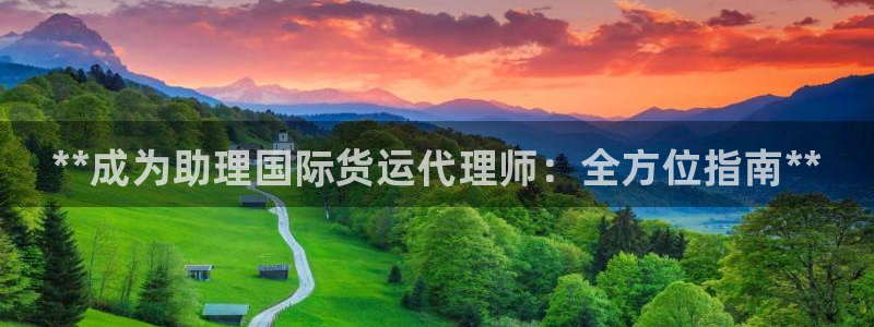 尊龙z6.con：**成为助理国际货运代理师：全方位指南