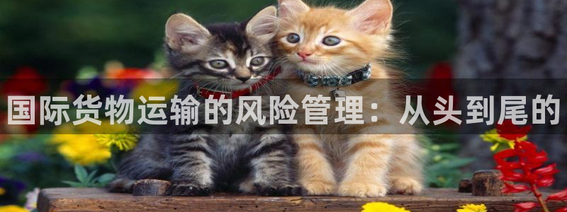 尊龙凯时官网首页