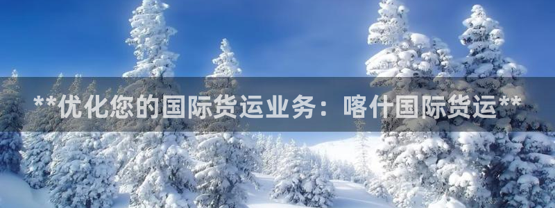 尊龙凯时处理未到账：**优化您的国际货运业务：喀什国际货