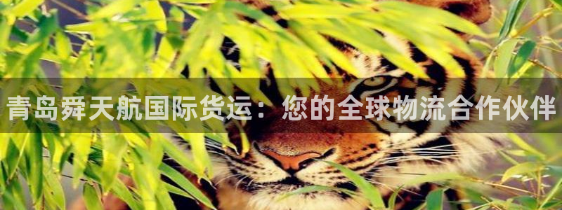 尊龙d88平台版下载：青岛舜天航国际货运：您的全球物流合