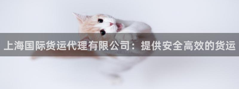 尊龙凯时贴吧：上海国际货运代理有限公司：提供安全高效的货