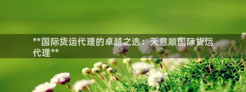 尊龙d88手机app免费下载：**国际货运代理的卓越之选