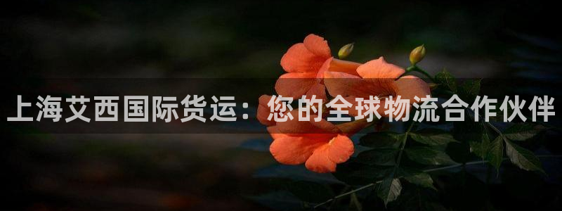 尊龙人生就是一博!：上海艾西国际货运：您的全球物流合作伙