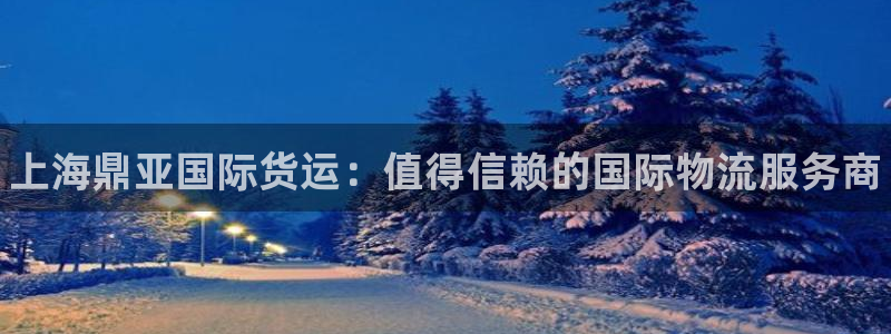 尊龙t300和t400哪个好：上海鼎亚国际货运：值得信赖