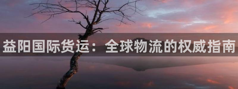 尊龙400：益阳国际货运：全球物流的权威指南